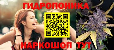 бошки Лесосибирск