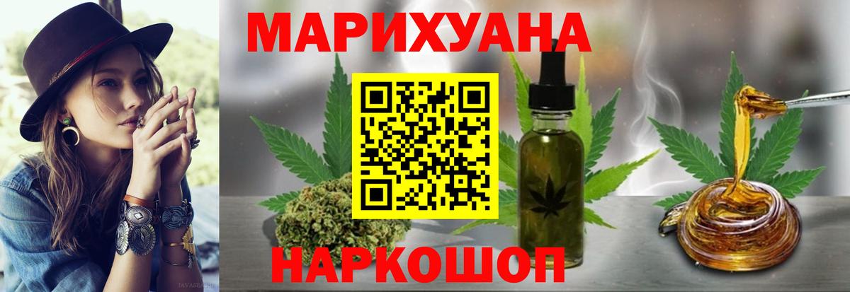 Каннабис планчик Прохладный